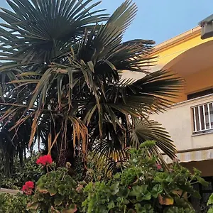 https://studio-apartman-casper.hotelinzadar.com